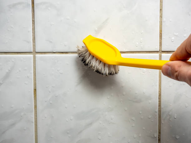 Best DIY Mold Remediation Support Services in Branson, MO
